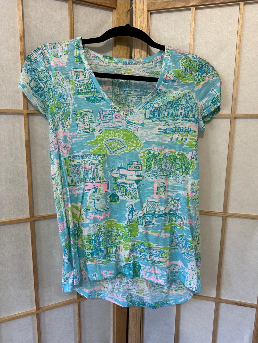 Lilly Pulitzer Aqua and Pink Scenic V-Neck Tee
